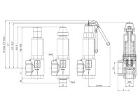 Uhlový poistný ventil pre paru DN32 G11/4-G2 Potw = 6,5bar 451P.32/50-6,5